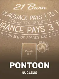 Pontoon 21